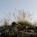 Cotentin2004 (5)